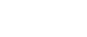 Dude Perfect logo