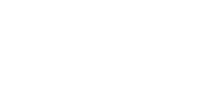 Steadkey logo