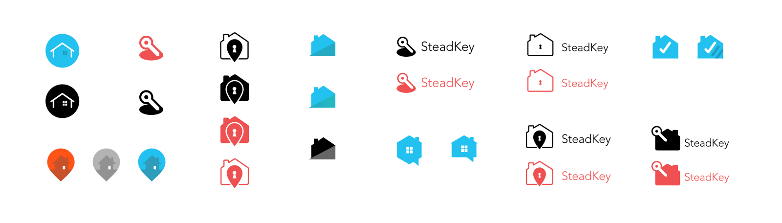Medium fidelity logo design concepts for Steadkey